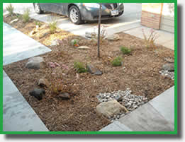 Driveway Design